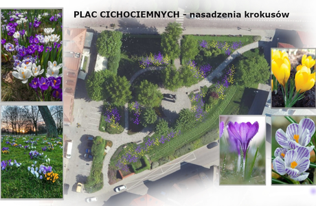 Wizualizacje: Zarząd Zieleni Miejskiej w Rzeszowie 